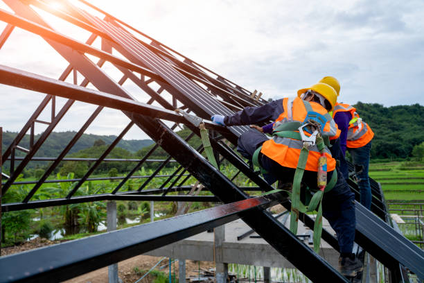 Best Affordable Roof Replacement  in Ampere North, NJ