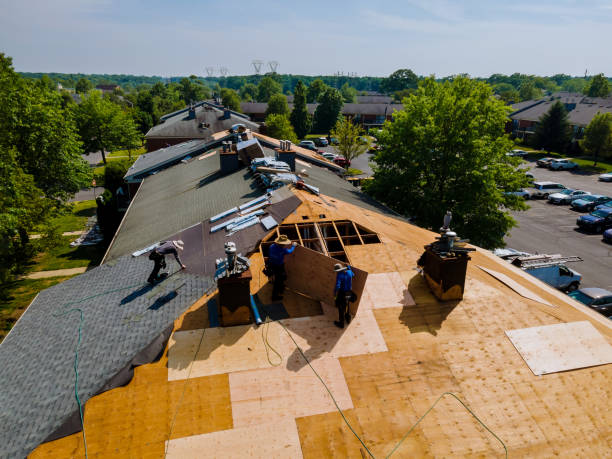 Quick and Trustworthy Emergency Roof Repair Services in Ampere North, NJ