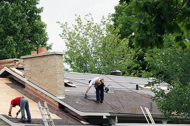 Best Roof Gutter Cleaning  in Ampere North, NJ