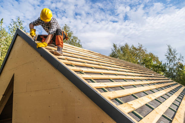 Best Storm Damage Roof Repair  in Ampere North, NJ