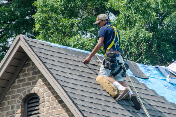 Best Roof Leak Repair  in Ampere North, NJ
